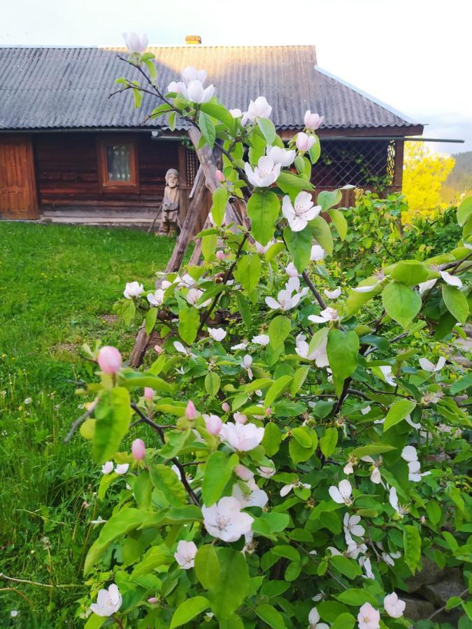 Starovitska Hata - Ethno-cottage Verchovyna Exteriör bild