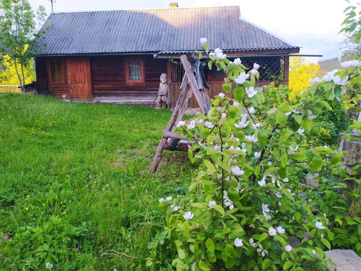 Starovitska Hata - Ethno-cottage Verchovyna Exteriör bild