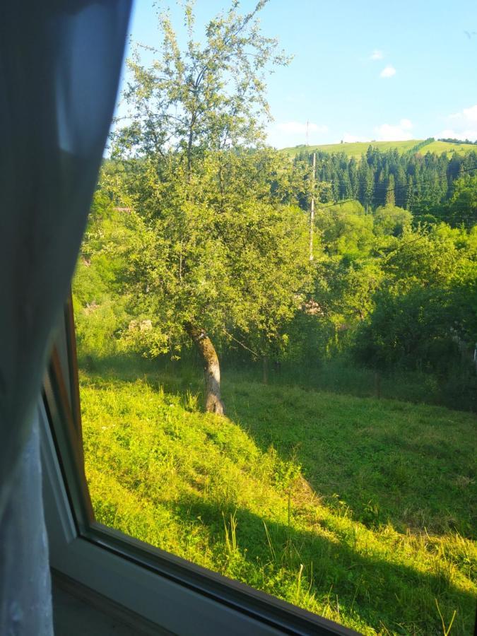 Starovitska Hata - Ethno-cottage Verchovyna Exteriör bild