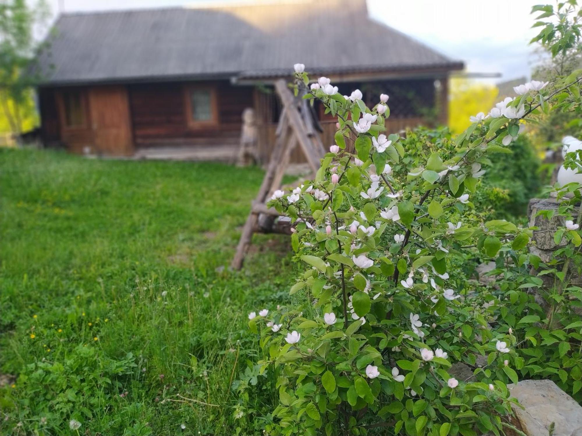Starovitska Hata - Ethno-cottage Verchovyna Exteriör bild