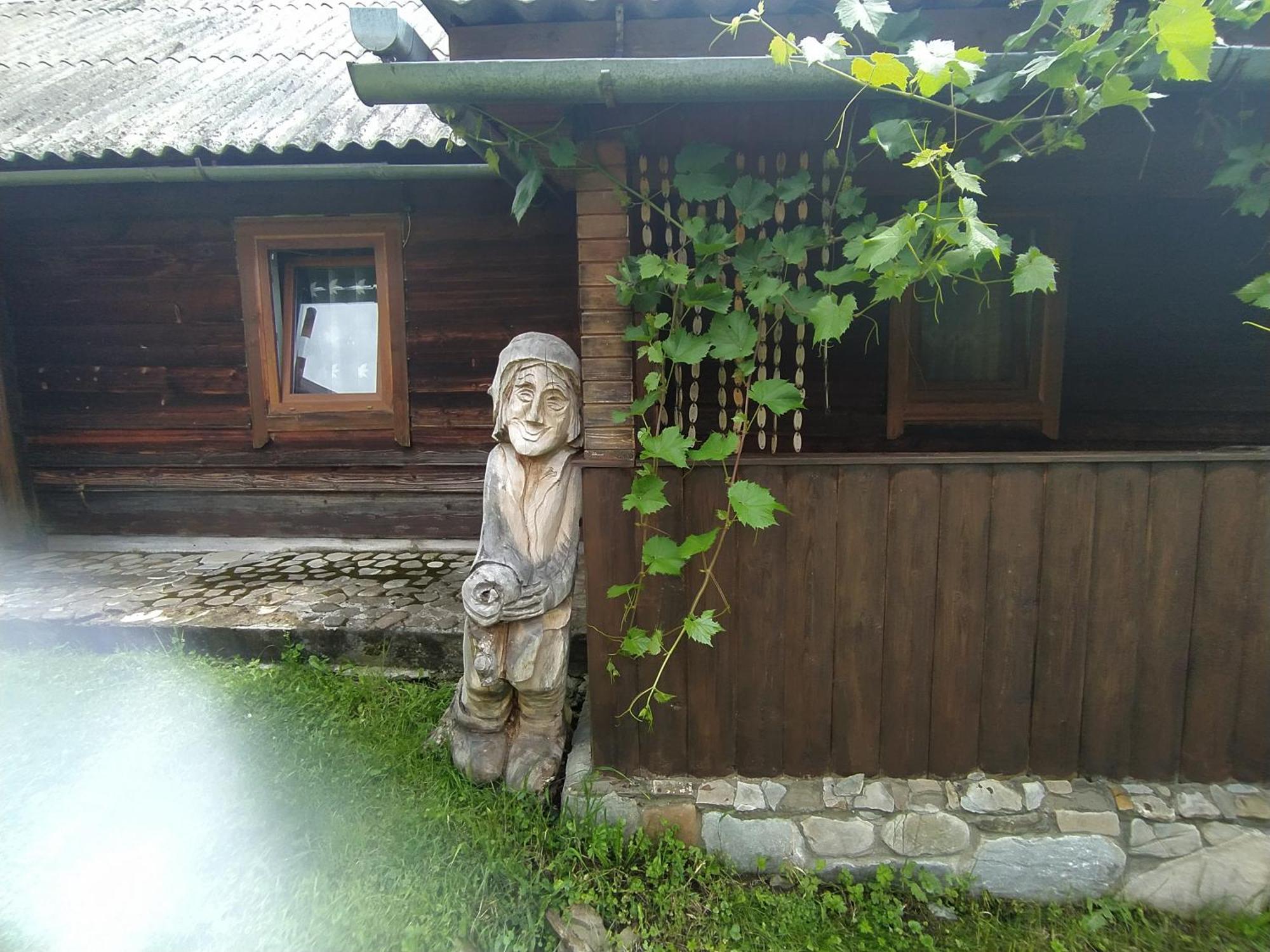 Starovitska Hata - Ethno-cottage Verchovyna Exteriör bild
