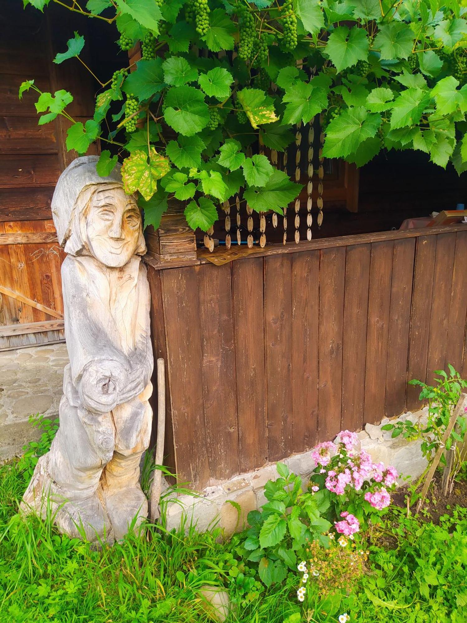 Starovitska Hata - Ethno-cottage Verchovyna Exteriör bild