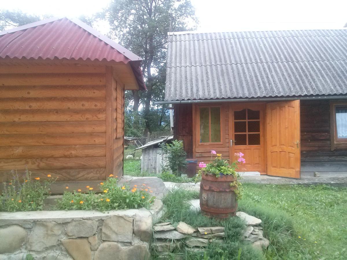 Starovitska Hata - Ethno-cottage Verchovyna Exteriör bild
