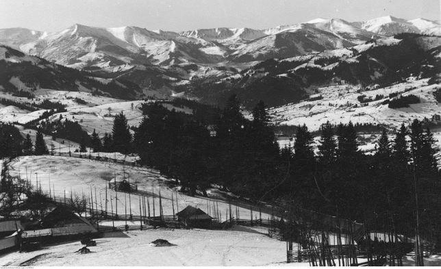 Starovitska Hata - Ethno-cottage Verchovyna Exteriör bild